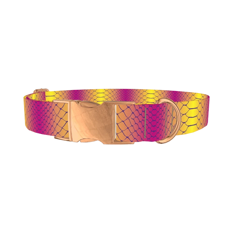 Colorful Snake Skin Dog Collar - metal rose gold