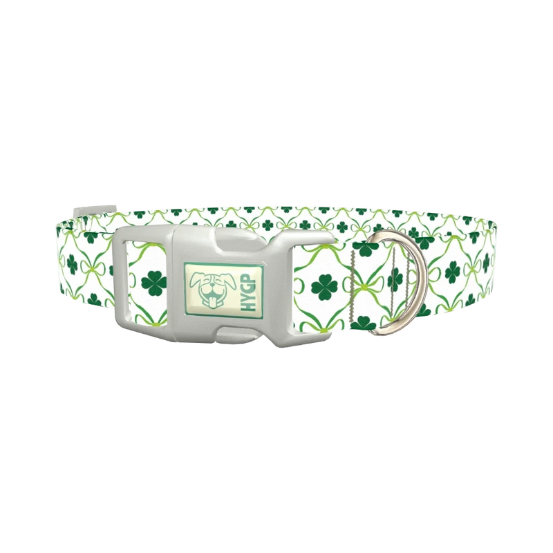 Shamrock Ribbon Dog Collar - plastic silver