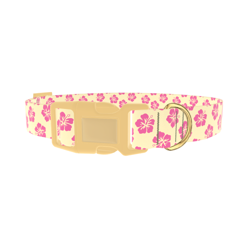 Floral Hibiscus Dog Collar - plastic gold