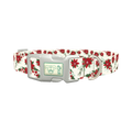 Festive Poinsettia Dog Collar - plastic silver