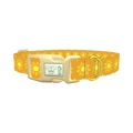 Sunburst Pattern Dog Collar - plastic gold