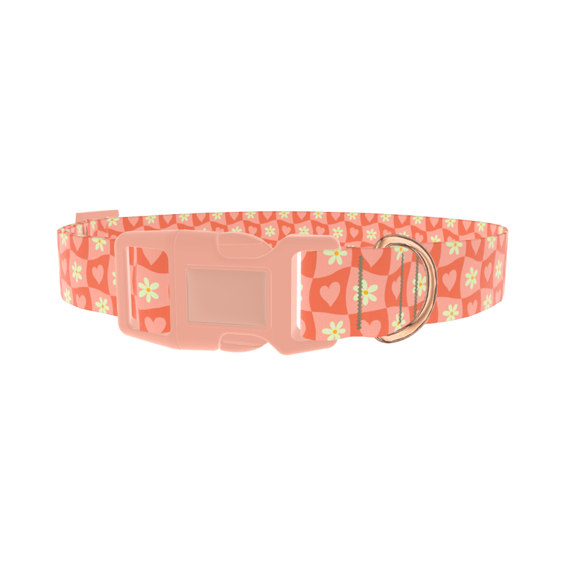 Heart and Daisy Dog Collar - plastic rose gold