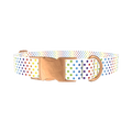 Rainbow Polka Dot Dog Collar - metal rose gold