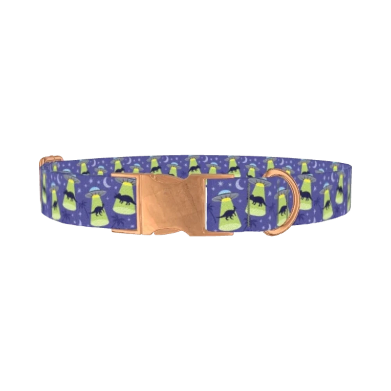 Dinosaur UFO Dog Collar - metal rose gold
