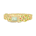 Floral Tulip Plaid Dog Collar - plastic gold