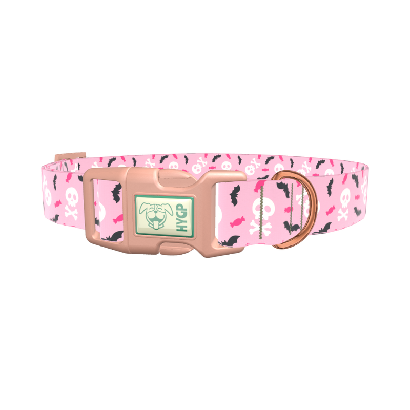 Halloween Skulls and Bats Dog Collar - plastic gold
