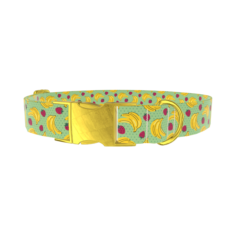 Fruit Pattern Dog Collar