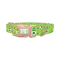 St. Patrick's Day Gnome Dog Collar - plastic rose gold