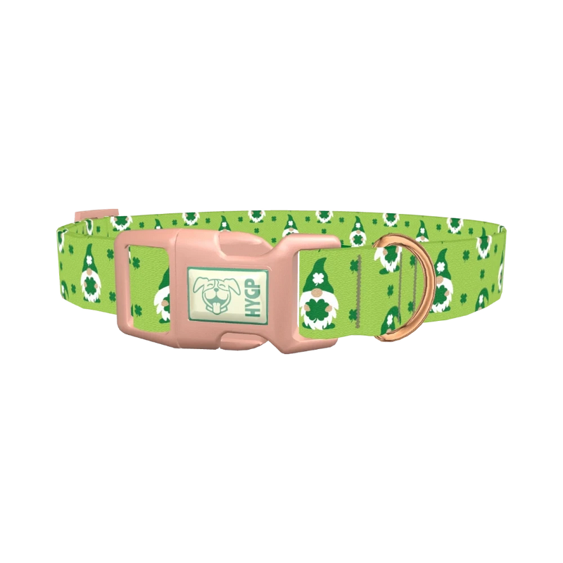 St. Patrick's Day Gnome Dog Collar - plastic rose gold