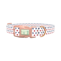 Patriotic Star Dog Collar - plastic rose gold