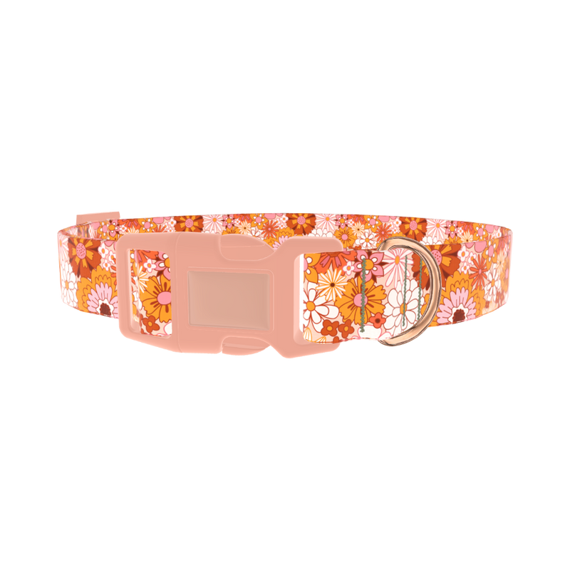 Retro Flower Burst Dog Collar - plastic rose gold