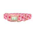 Floral Heart Dog Collar - plastic rose gold
