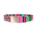 Mexican Floral Stripe Dog Collar - metal silver
