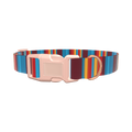 Colorful Stripe Dog Collar - plastic gold