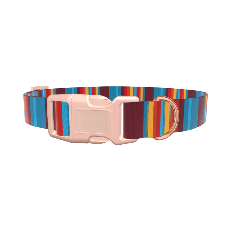 Colorful Stripe Dog Collar - plastic gold