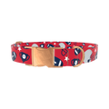 Red Football Trophy Dog Collar - metal rose gold