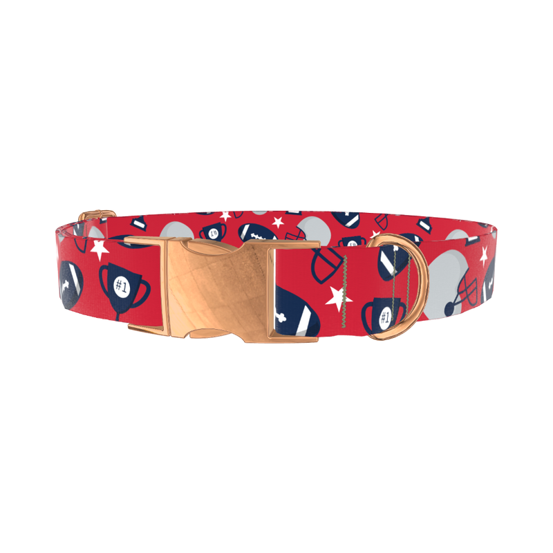 Red Football Trophy Dog Collar - metal rose gold
