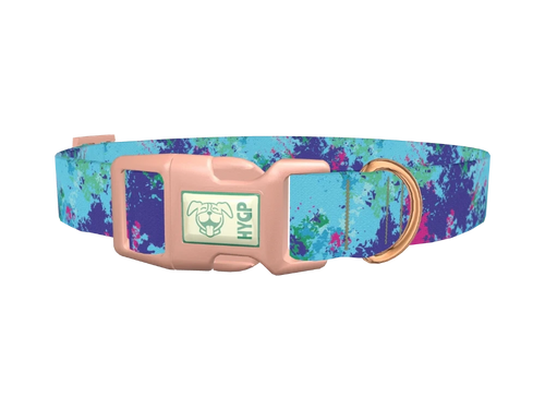 Abstract Paint Dog Collar