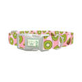 Pink Kiwi Pattern Dog Collar - plastic silver