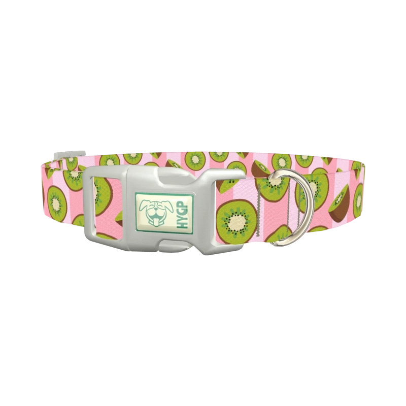 Pink Kiwi Pattern Dog Collar - plastic silver