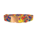 Colorful Paint Splatter Dog Collar - metal rose gold