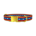 Rainbow Geometric Dog Collar - metal gold