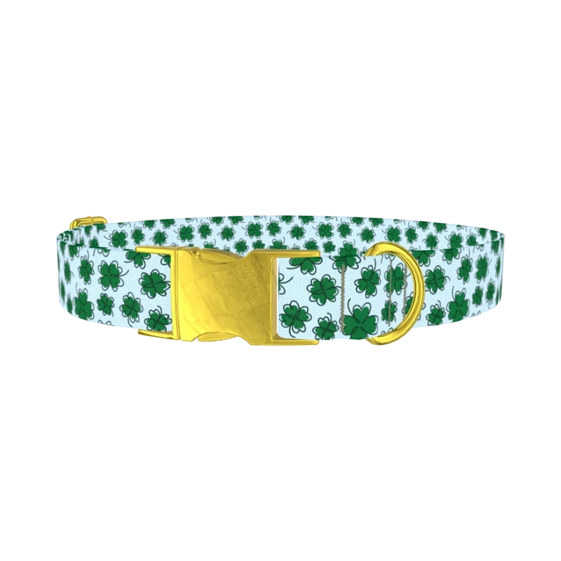 Blue Clover Pattern Dog Collar - metal gold