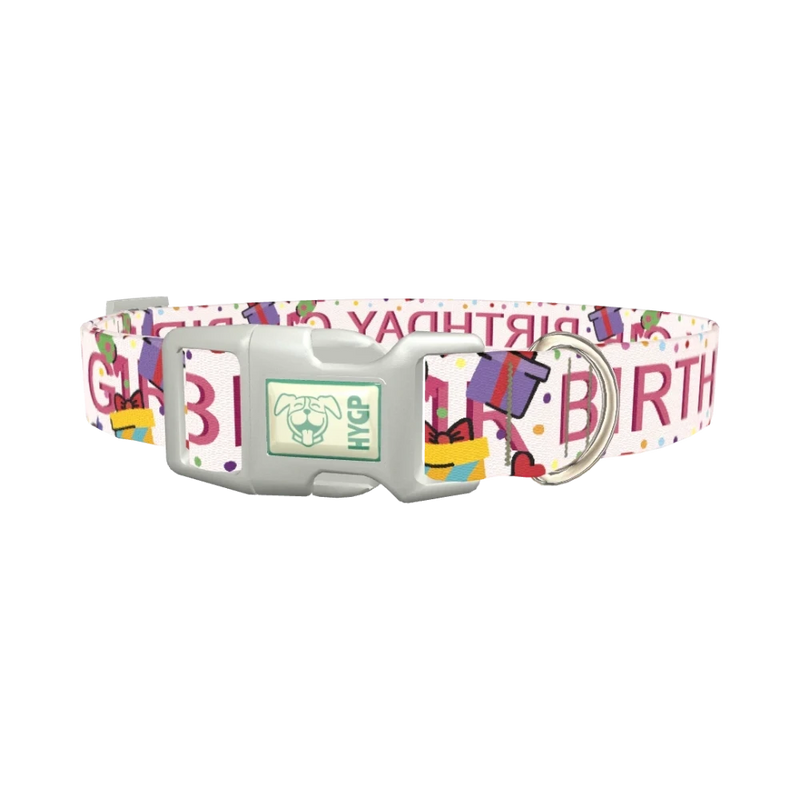 Birthday Celebration Dog Collar - plastic silver
