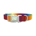 Rainbow Gradient Dog Collar - plastic silver