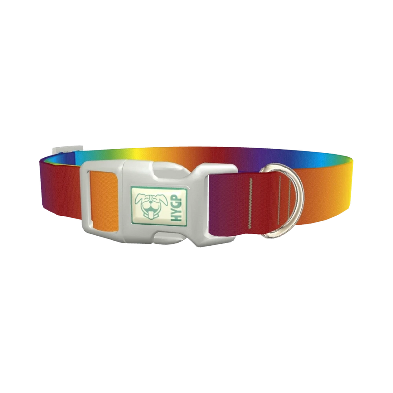 Rainbow Gradient Dog Collar - plastic silver