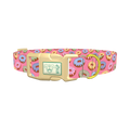 Colorful Donut Dog Collar - plastic gold
