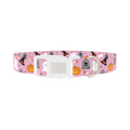 Halloween Trick or Treat Dog Collar - plastic silver