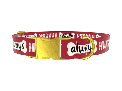 Always Hungry Dog Collar