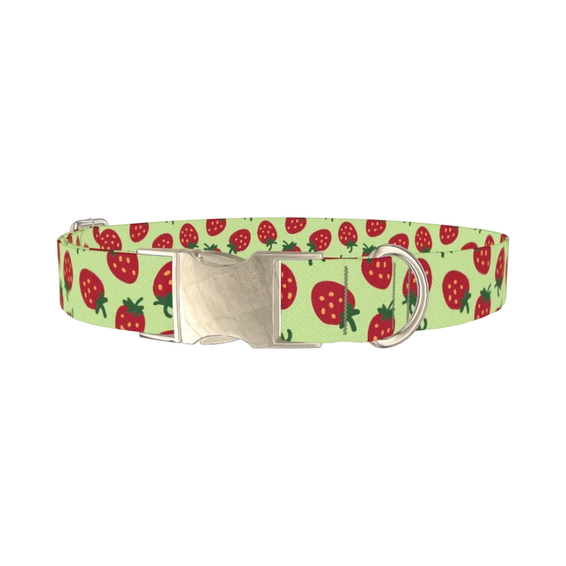 Strawberry Pattern Dog Collar - metal silver