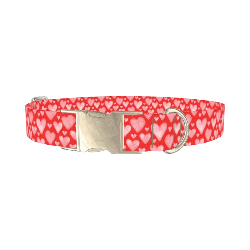 Watercolor Heart Dog Collar - metal silver