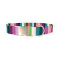 Color Stripe Dog Collar - metal silver