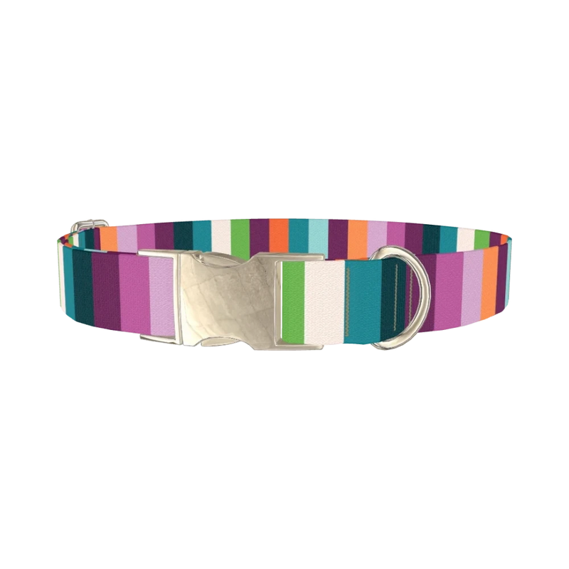 Color Stripe Dog Collar - metal silver