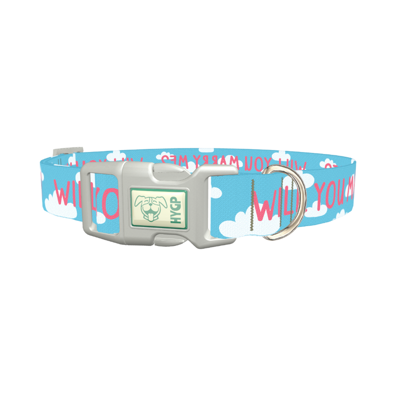 Cloud Phrase Dog Collar - plastic silver