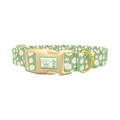 Green Daisy Dog Collar - plastic gold