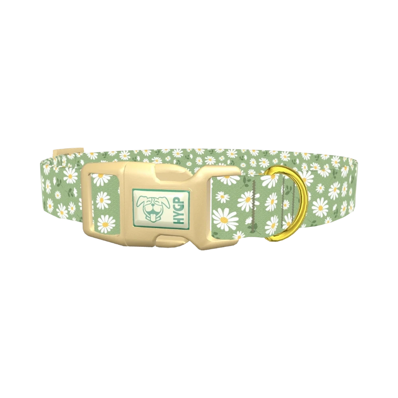 Green Daisy Dog Collar - plastic gold