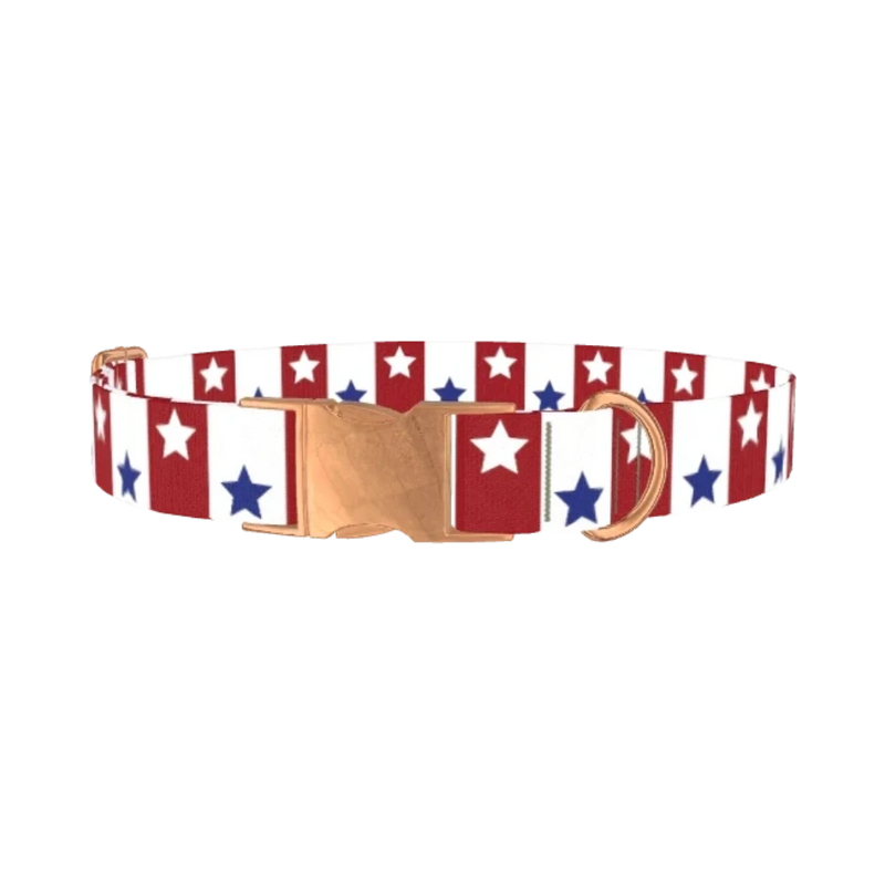 Bicolor Star Dog Collar - metal rose gold