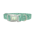 Cucumber Pattern Dog Collar - plastic silver