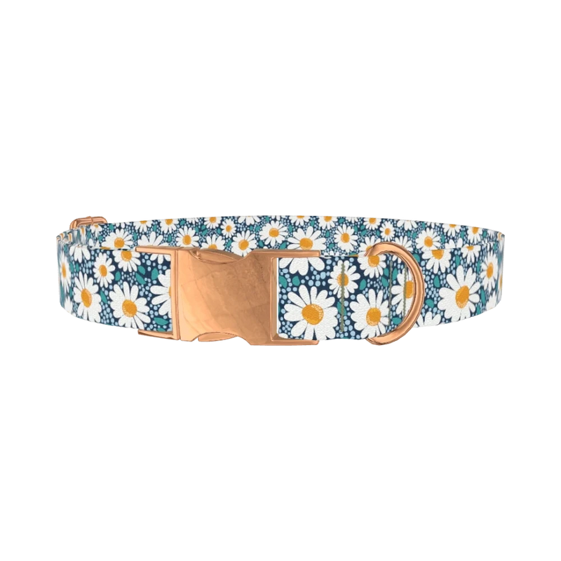 Floral Chamomile Dog Collar - metal rose gold