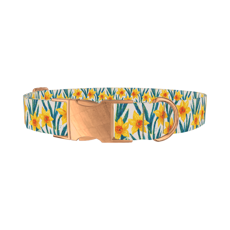 Yellow Daffodil Dog Collar - metal rose gold