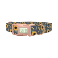 Bee Sunflower Dog Collar - plastic rose gold