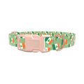 St. Patrick's Flag Dog Collar - plastic gold