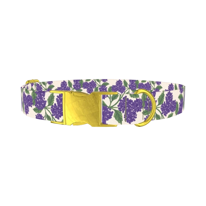 Purple Hydrangea Dog Collar - metal gold