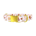 Boho Sun Moon Dog Collar - metal gold