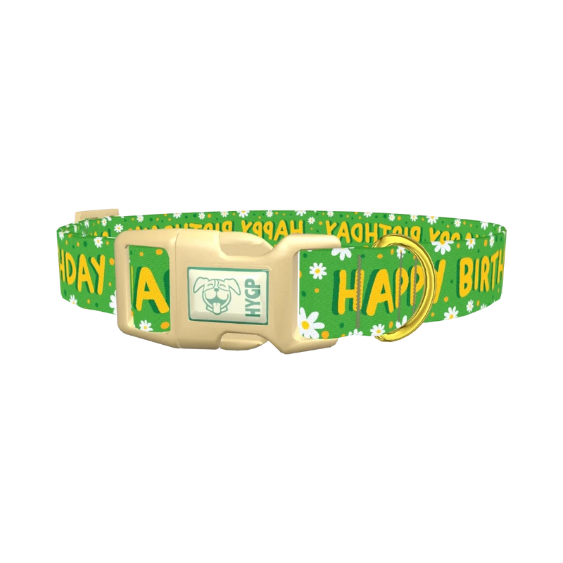 Birthday Floral Dog Collar - plastic gold