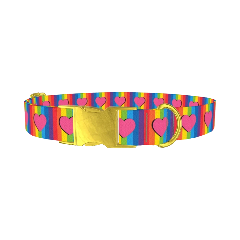 Rainbow Heart Dog Collar - metal gold